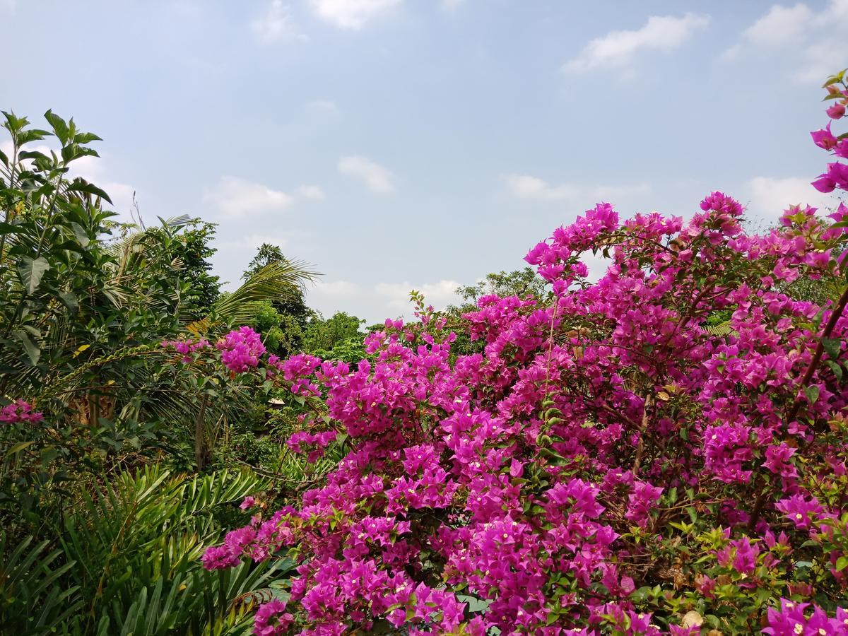 Saigon Riverside Retreat Πόλη Χο Τσι Μινχ Εξωτερικό φωτογραφία